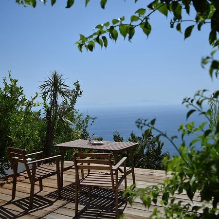 Casa Flora Bed & Breakfast Vietri Exterior foto