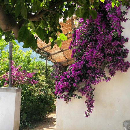 Casa Flora Bed & Breakfast Vietri Exterior foto