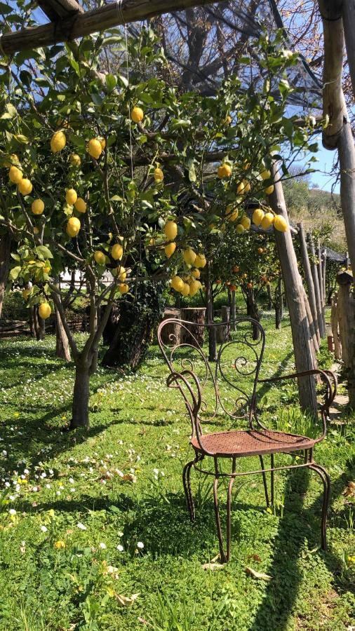 Casa Flora Bed & Breakfast Vietri Exterior foto