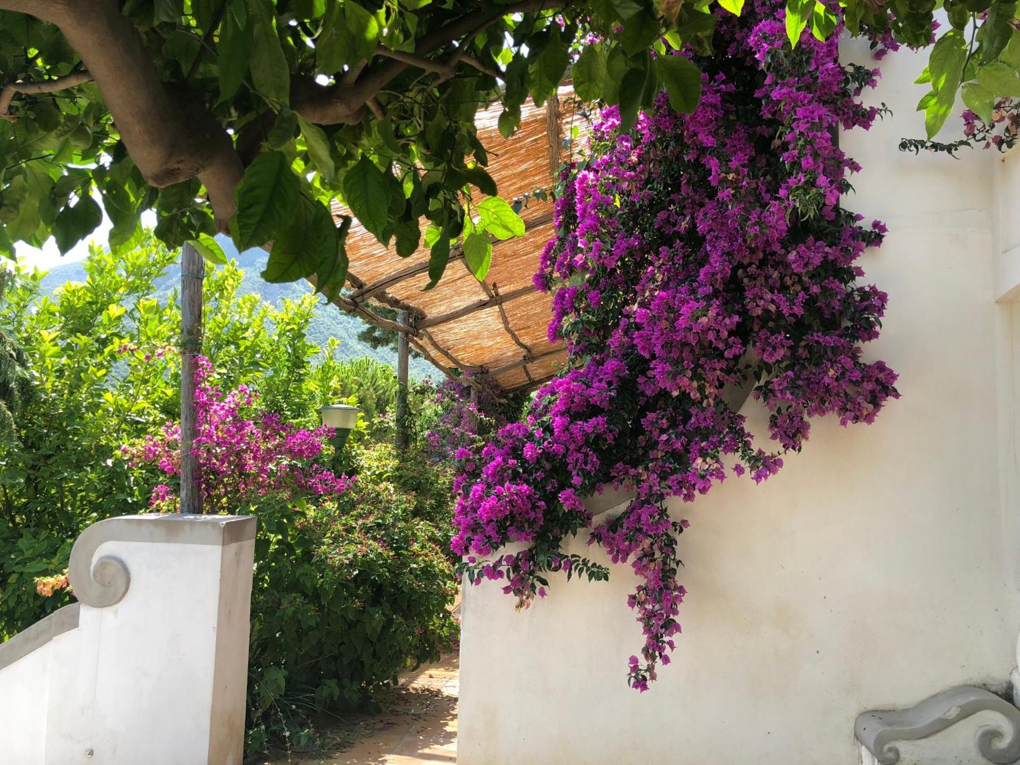 Casa Flora Bed & Breakfast Vietri Exterior foto